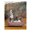 Tapis pour lit de qualité supérieure Rugs.com-110734660-100613956