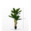 Plante artificielle banane 6 po fabriquée à la main Primrue