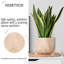 Wood Pot Planter-92659193