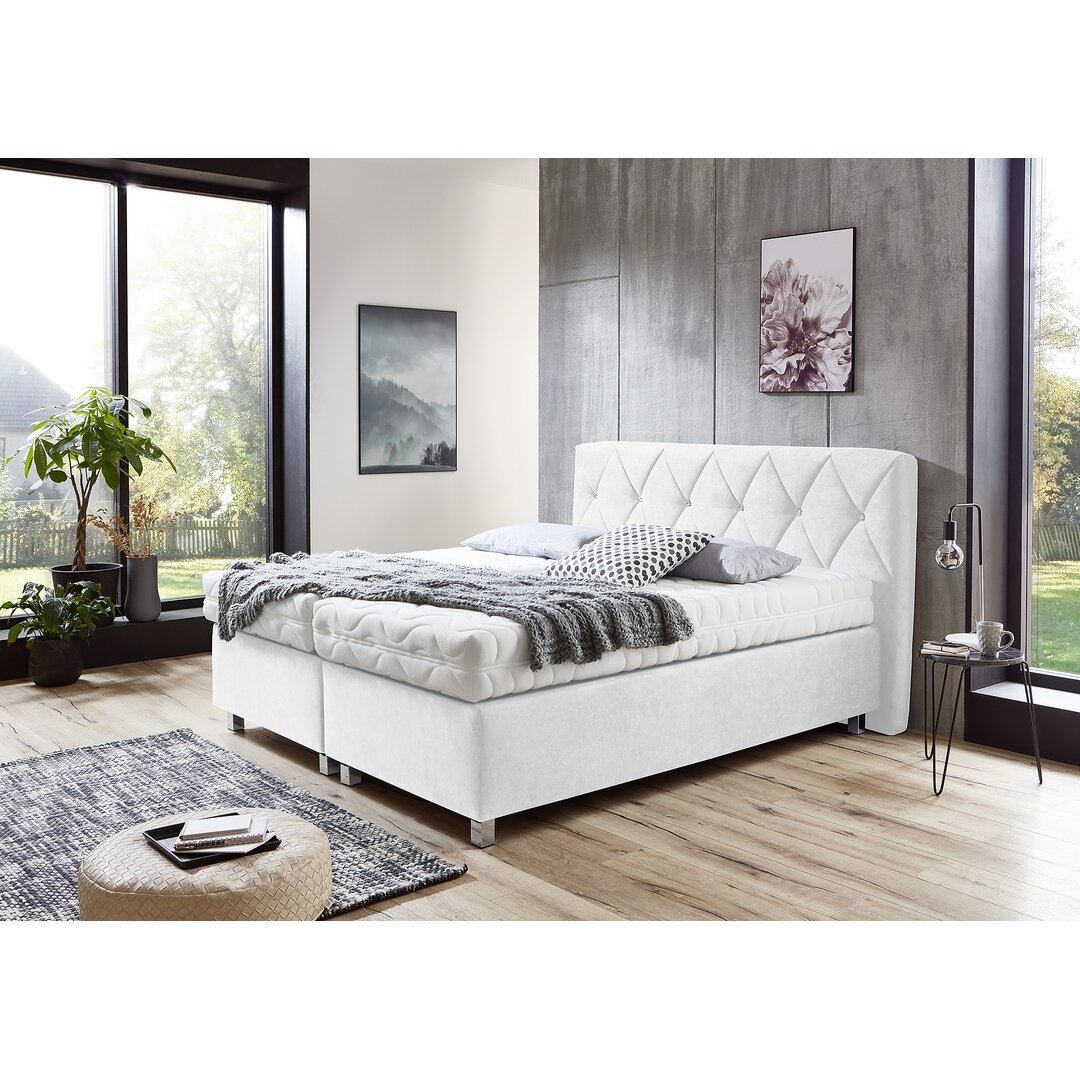 Boxspringbett Gosdantin