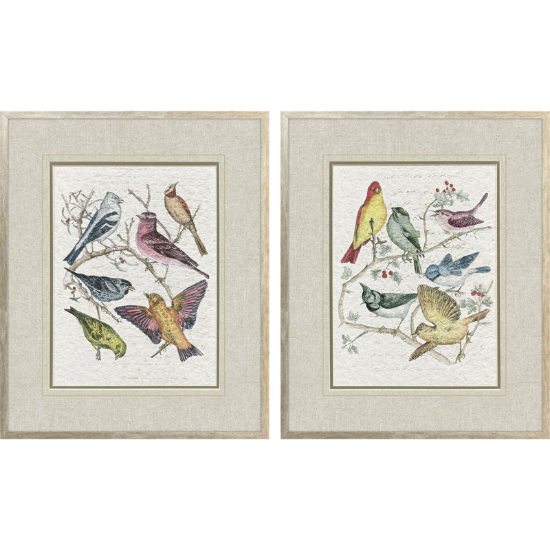 Bird Variety Framed Art