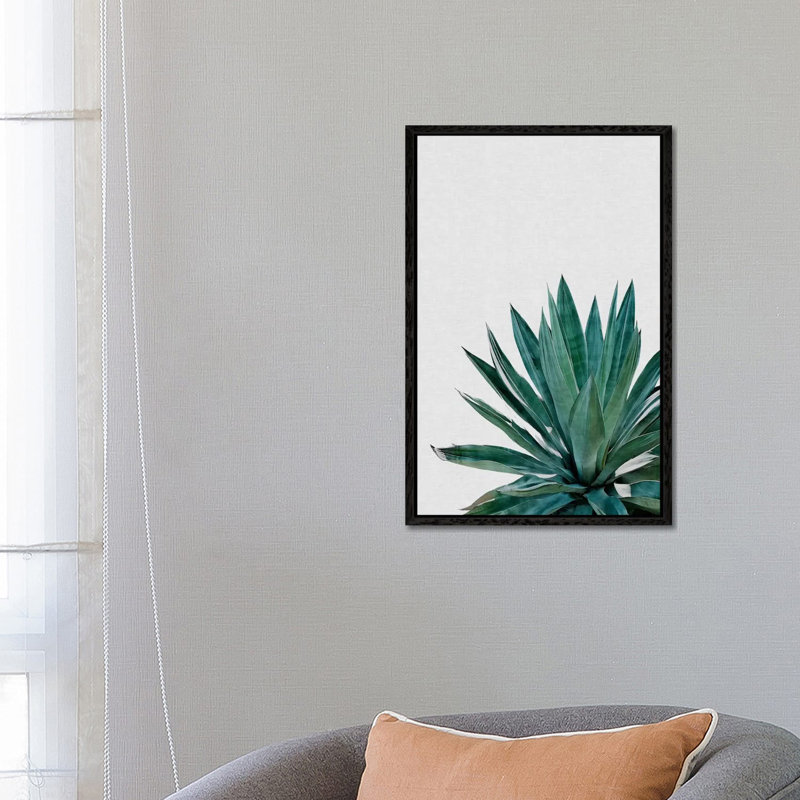 Agave Cactus by Orara Studio - Print on Canvas, Black Framed, 66.04 cm H x 45.72 cm W
