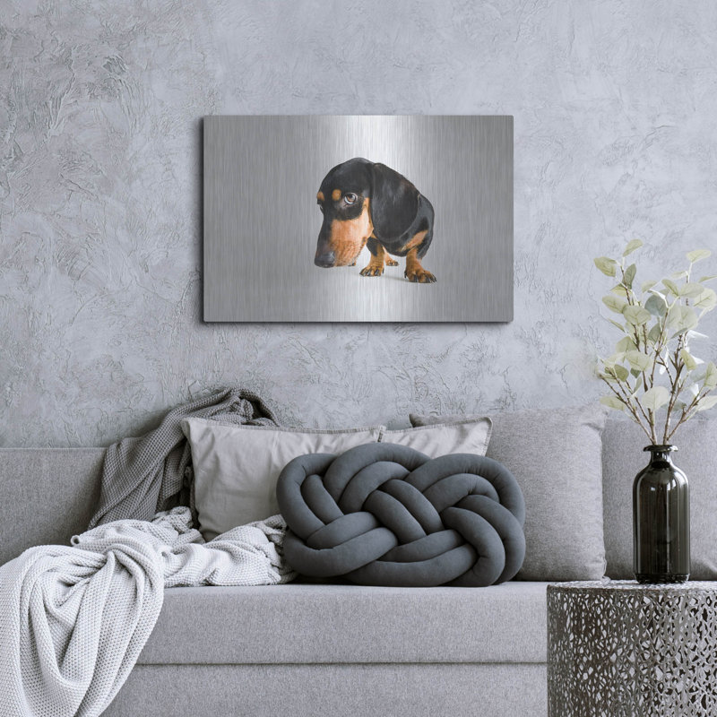 " Who Me " by Susan Sabo