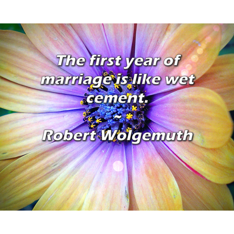 "World Menagerie Gallery", toile tendue par Robert Wolgemuth: "La première année de mariage est comme un cem mouillé"
