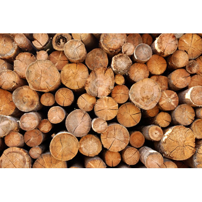 " Woodpile " by Avnphotolab