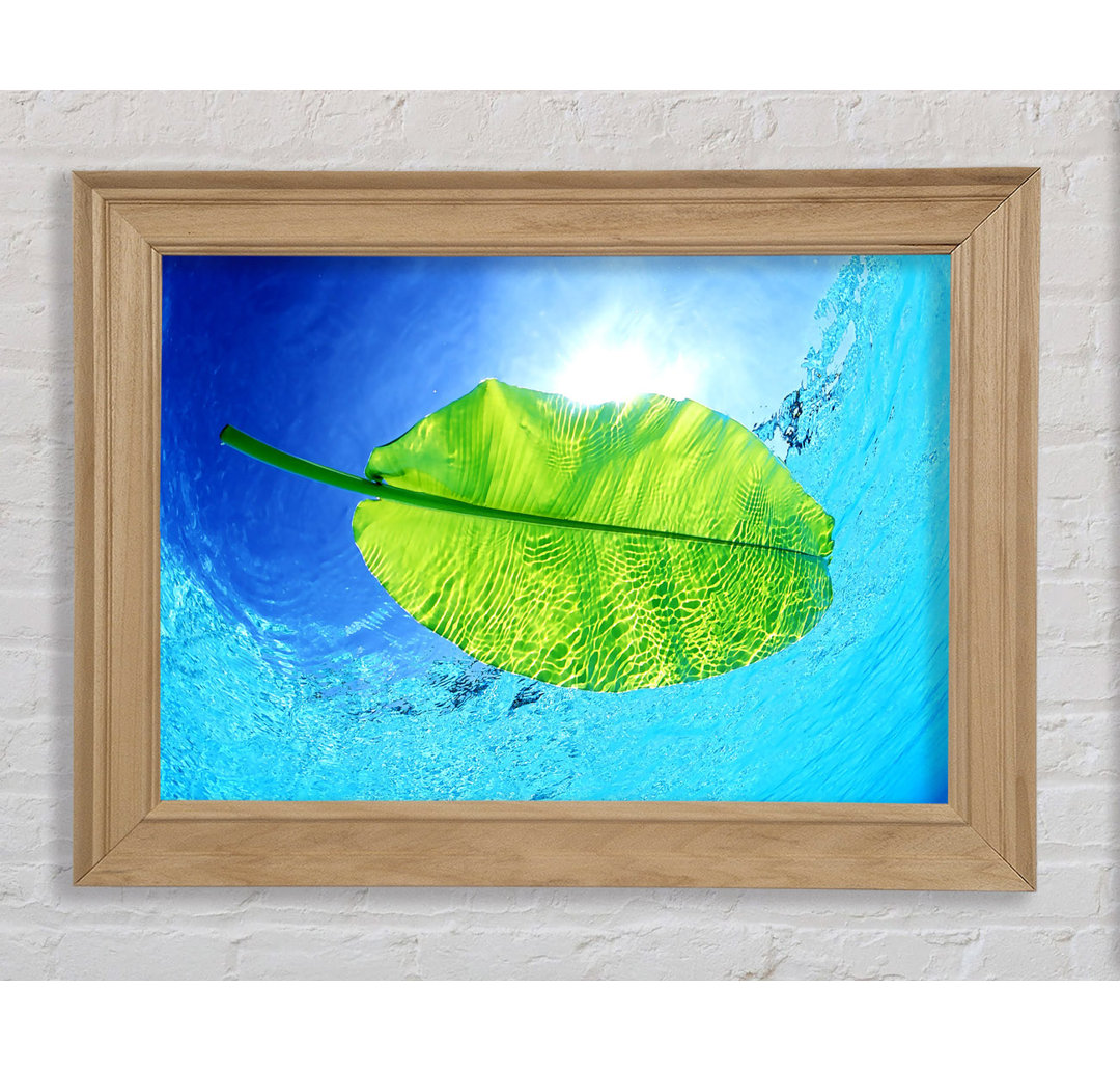 Blue Waters Of A Green Leaf - Einzelner Bilderrahmen Kunstdrucke