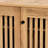 Cornelious 12 Pair Shoe Storage Cabinet