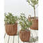 Amayas Handmade Pot Planter