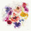 «Rainbow Ruffles II», reproduction d'art sur toile tendue-20823891-72783686-72783691