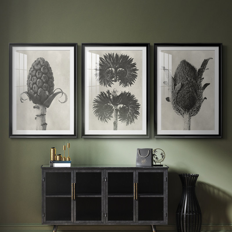 Blossfeldt Botanical IV - reproduction encadrée sur mesure de qualité supérieure - 3 pièces, Noir, H 21 po x l 30 po