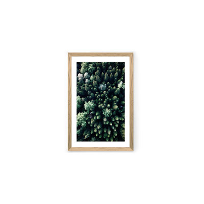 Peinture décorative
