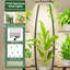 Plant Stand