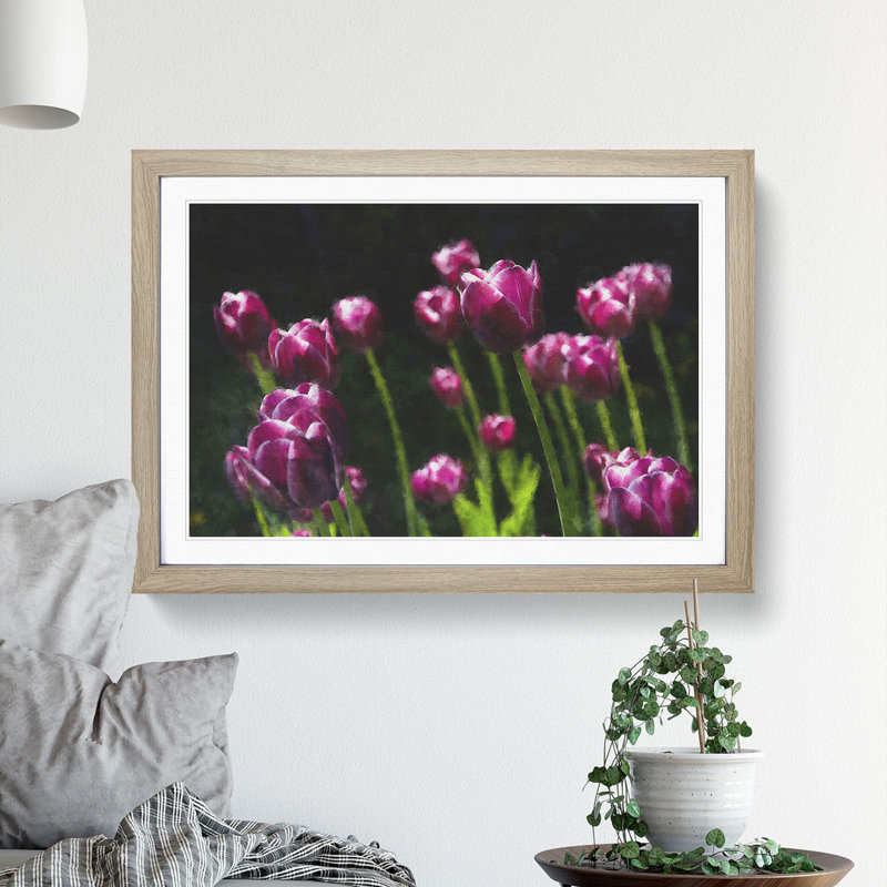 Pink Tulip Flowers - Framed Print, 48cm H x 65cm W x 2cm D, Oak Framed