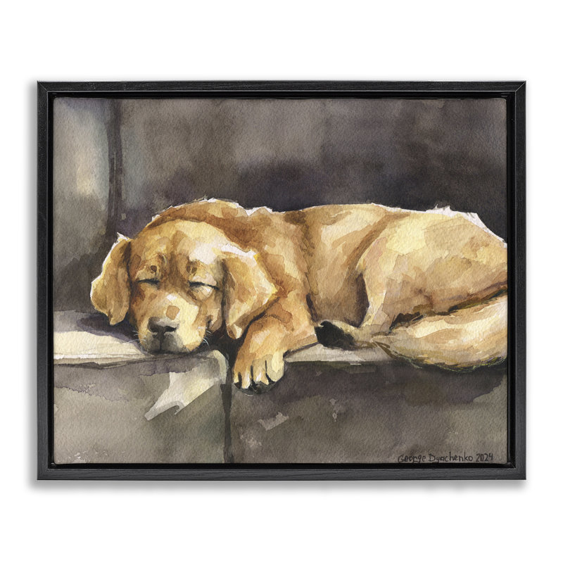 «Sleeping Golden Retriever», art mural encadré par George Dyachenko, H 17 po x l 21 po, Cadre flottant noir de jais