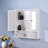 Deyonte Wall Mounted Required Bathroom Cabinet