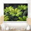 Photo de marguerites monochromes vertes et noires - salon de marguerites murales-526430189-526430198