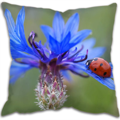 Crewkerne Floral Square Cushion