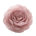 Or rose