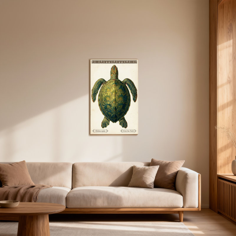 Animaux, tortue de mer verte, reproduction d'art, H 18 po x l 12 po