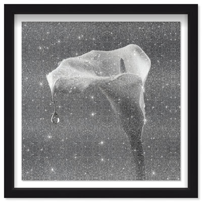 Midnight Rain Framed Graphic Art