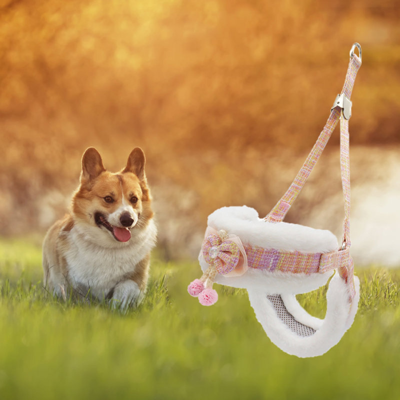 Harnais et laisse pour chien rose S, Petit, Rose