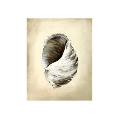 Seashells III Print by Sydney Edmunds