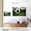But de football Sireci