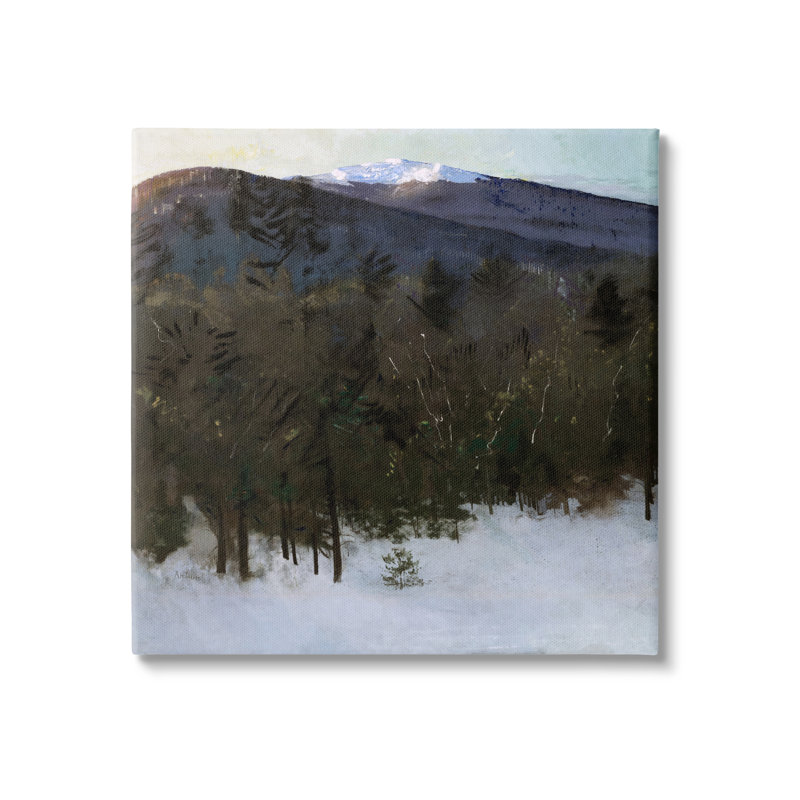 Winter Nature, reproduction d'art sur bois, Giclée encadrée noir minuit, H 17 po x l 17 po x P 1,5 po