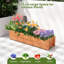 Brahmsley Wood Planter Box
