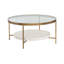 Glass Coffee Table