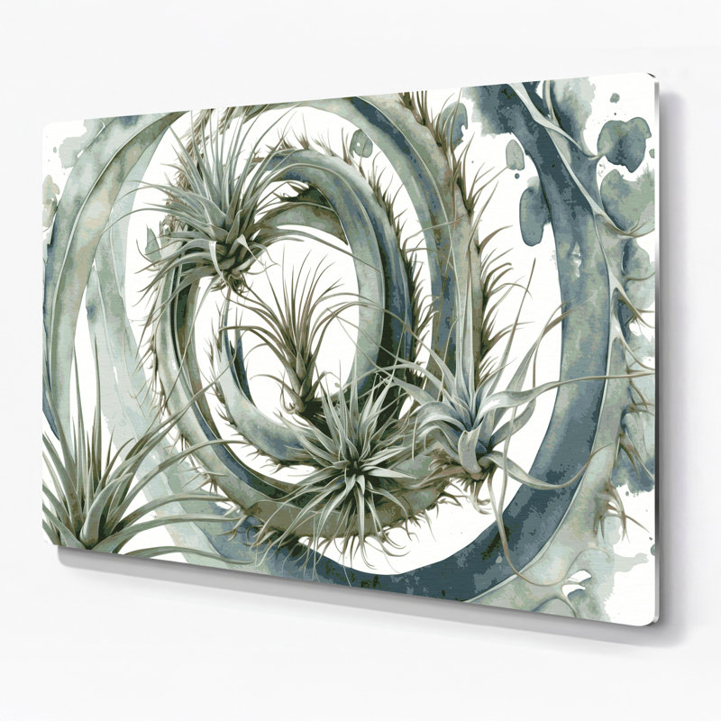 Art mural en métal Botanical Air Plants, H 11 po x l 14 po