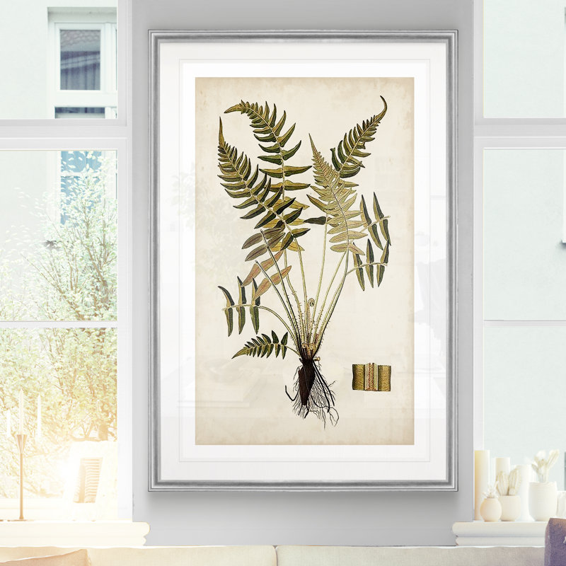 « palm botanique iv »-impression sur toile, H 30,5 po x l 42,5 po x P 1,5 po, Cadre argenté