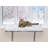 Chrystene Cat Window Perch Bed, Removable Cushion