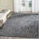 Emmie Oriental Cotton Hand Woven Area Rug