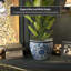 Vase-824402028