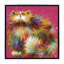 « knickerbocker » par kim haskins-impression sur image-49774780-49774785