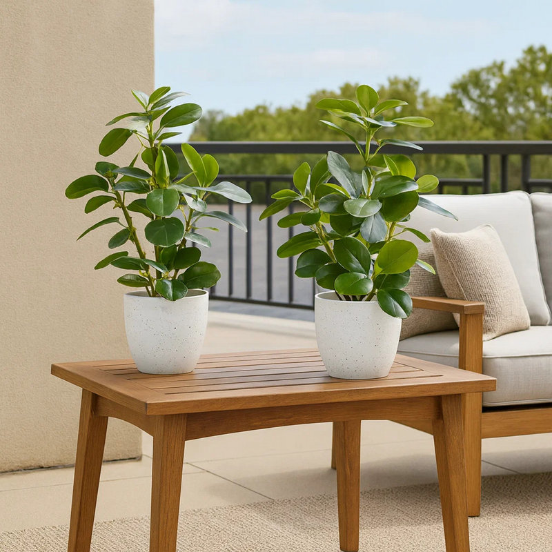 Ensemble de 2 plantes ficus en soie artificielle Dorae, plateau de table 56 feuilles, pot blanc, Blanc