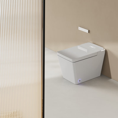 LUXYWEIVE 1.28 Gallons GPF Elongated Bidet Toilet (Seat Included)