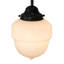 Luminaire suspendu simple à 1 lumière