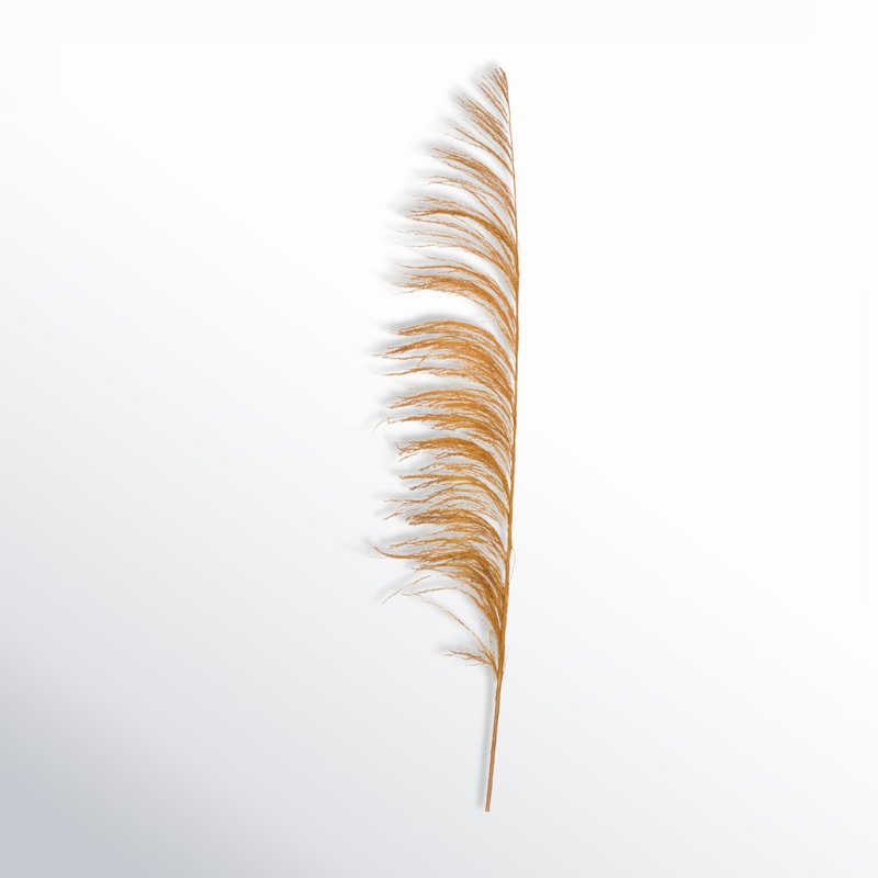 Lei palmier 60-72 po Uva, Doré Aspen