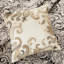 Courtepointe 6 pièces avec coussins décoratifs - double / grand, courtepointe charmante noire, envers en microfibre, rembourrage en coton pour la détente, broderie décorative, attrait intrigant lavable à la machine, coussins brodés,-124754975