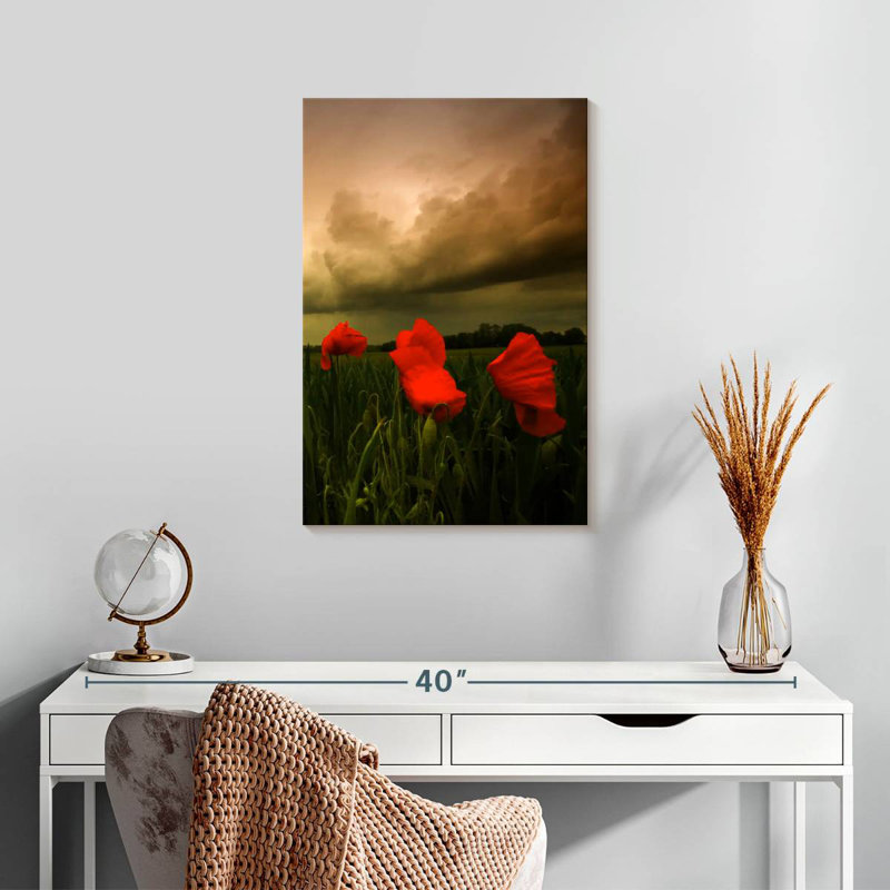 Coquelicots Harnek, H 24 po x l 16 po