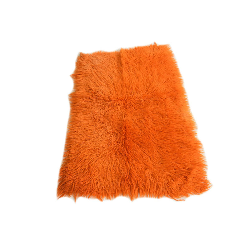 Aabha Orange Rug