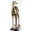 Allyra Animals Statue