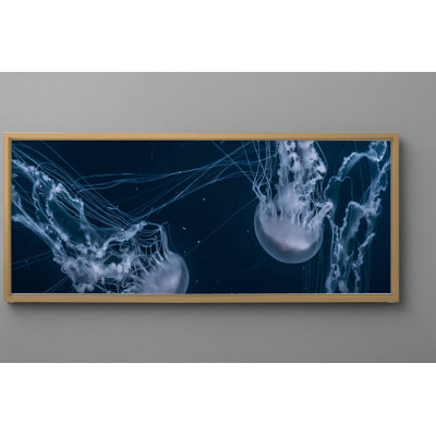 Gibbs Print
