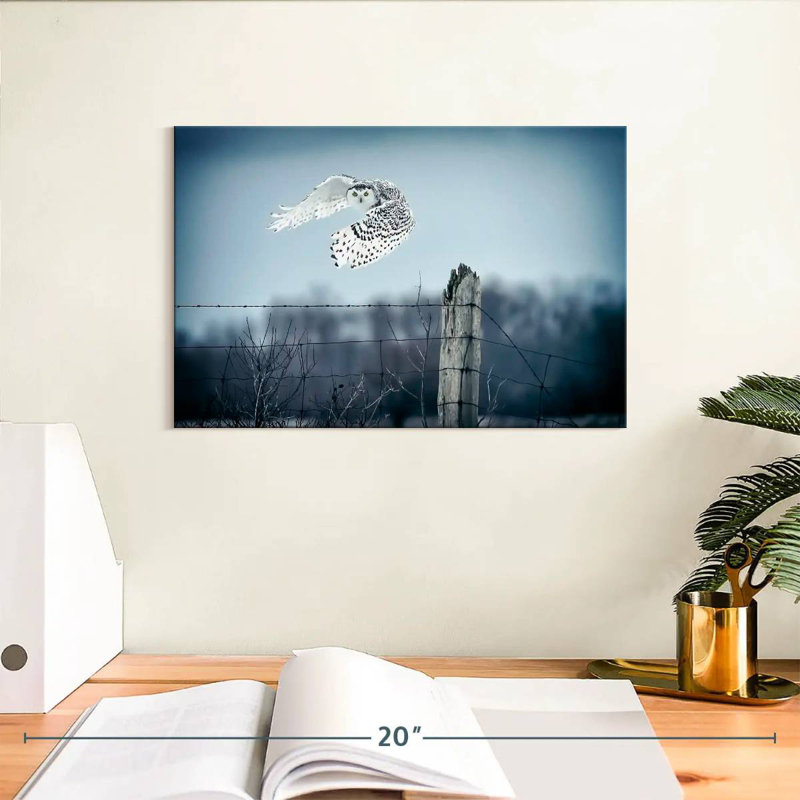 Brampt Winter Snowy Owl IV, 8" H x 12" W