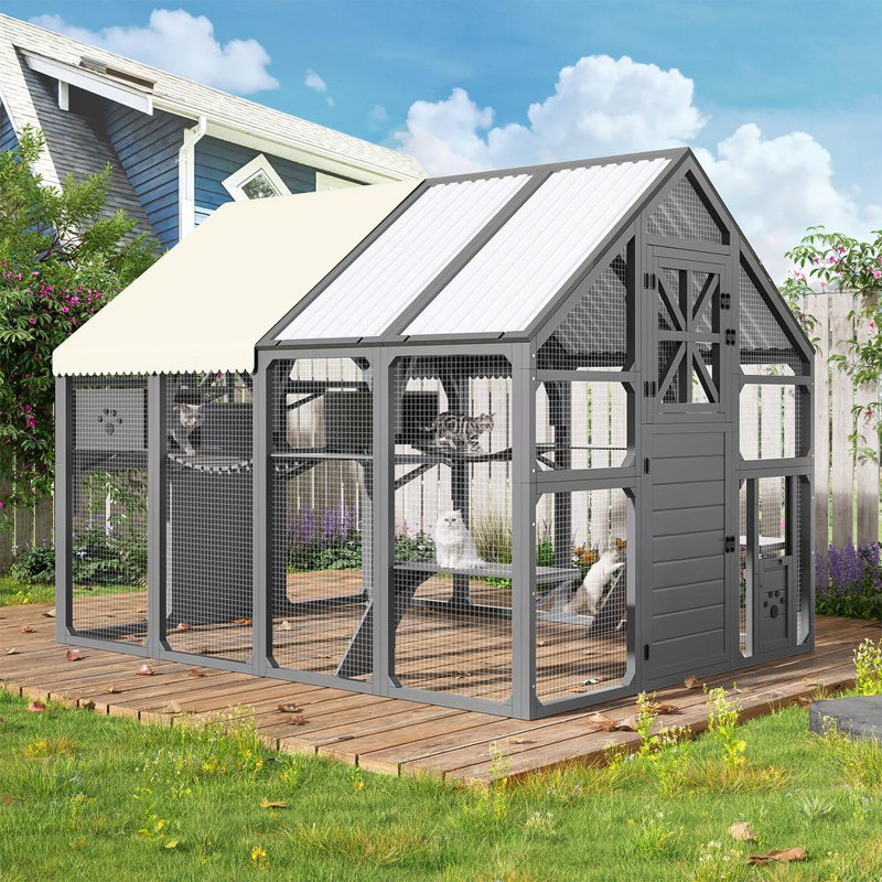 Outdoor Cat Enclosure