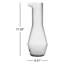 Beak Crystal Lead Free Crystal Carafe-36553286
