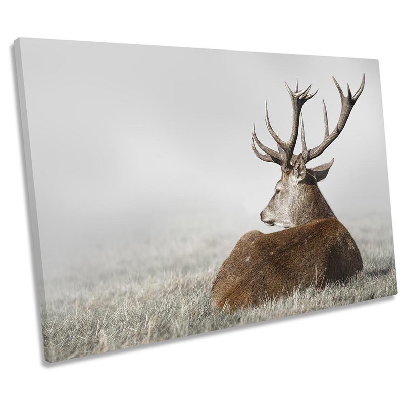 Deer Stag Antlers - Wrapped Canvas Print, 61cm H x 91.4cm W x 4cm D
