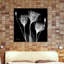 Gentian White - Wrapped Canvas Print-550540715